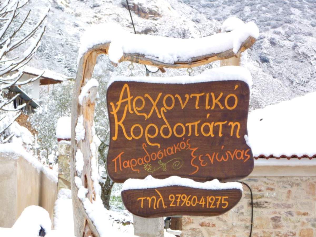 Όροι Χρήσης